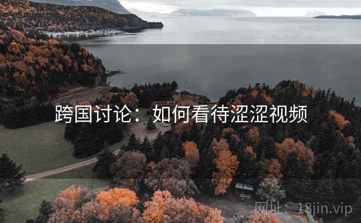跨国讨论：如何看待涩涩视频  第2张