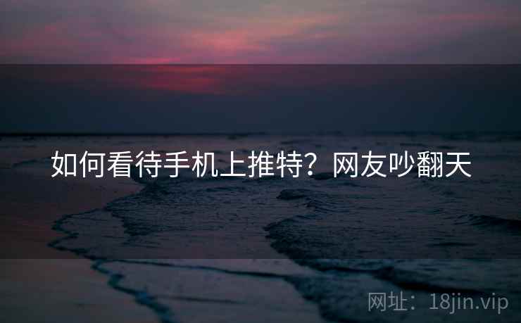 如何看待手机上推特？网友吵翻天  第1张